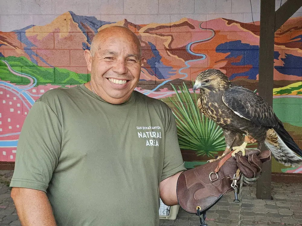 A smiling man holds a hawk on a leather glove in front of a colorful mountain mural