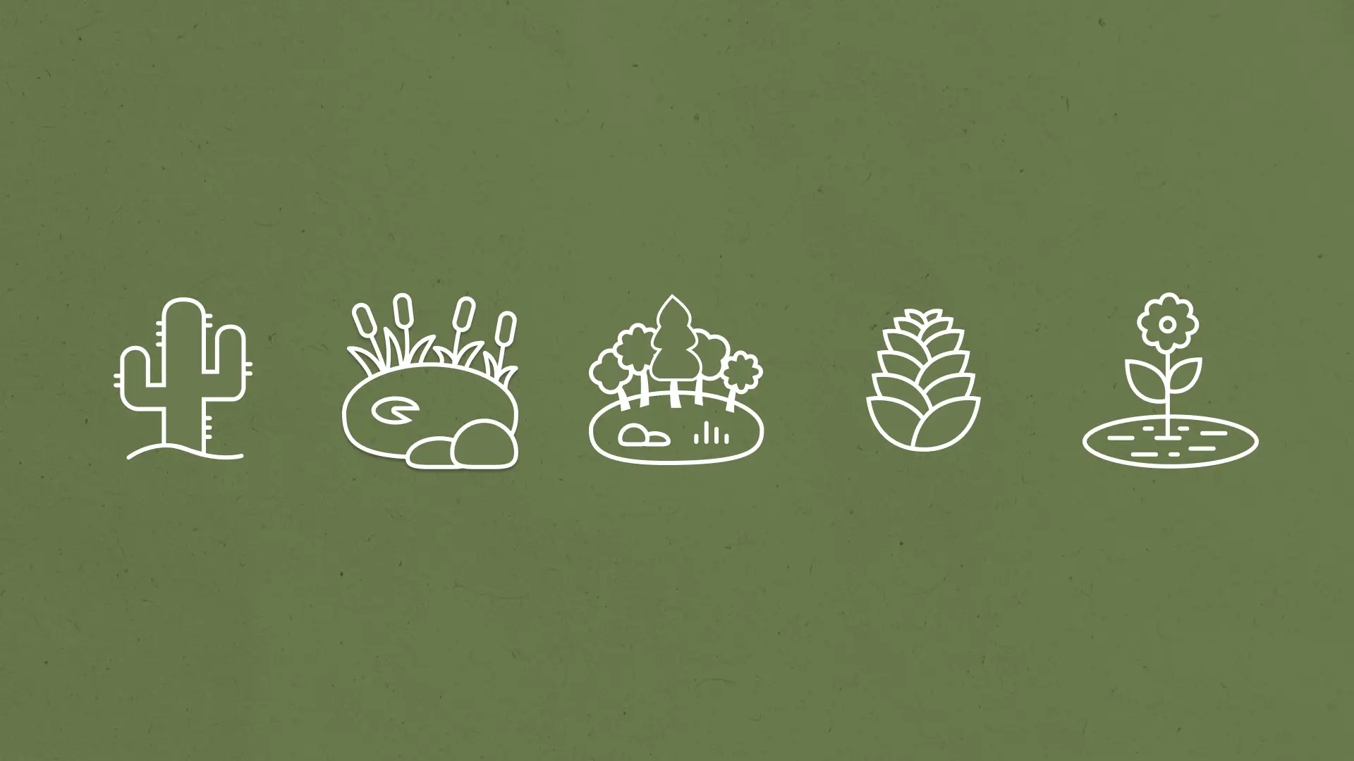 Five line icons for habitats: a cactus, a pond with reeds, woodland trees, a pine cone, and a flower.